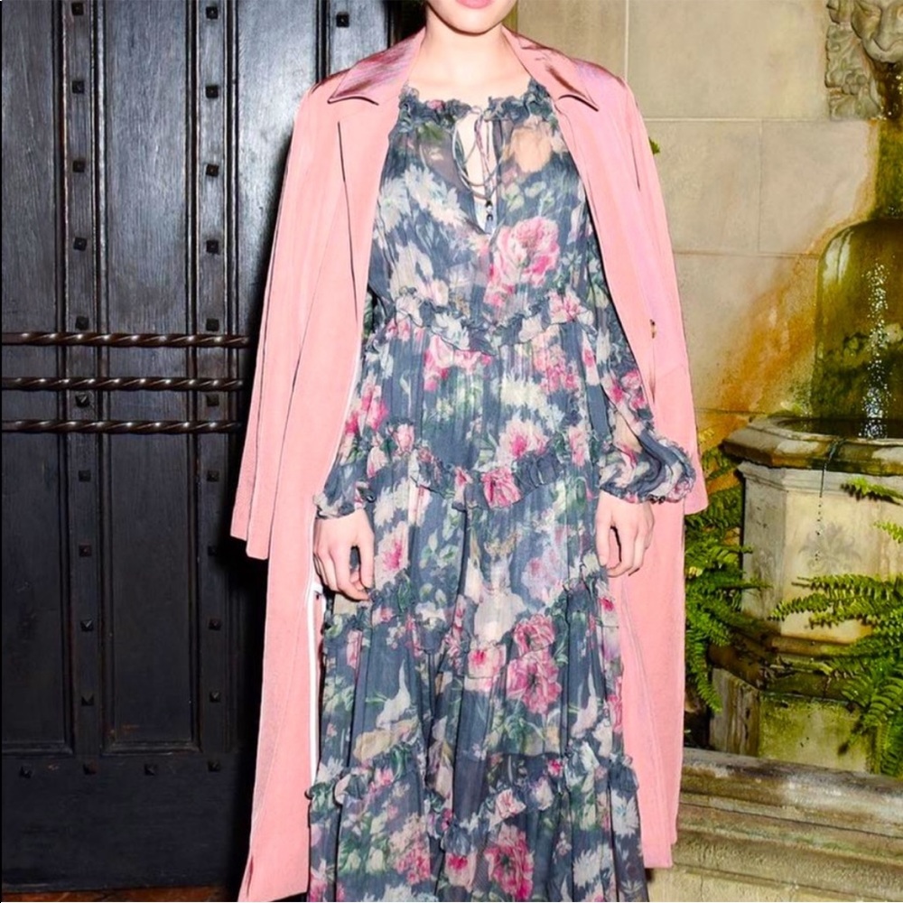 Zimmermann gray printed chiffon dress
